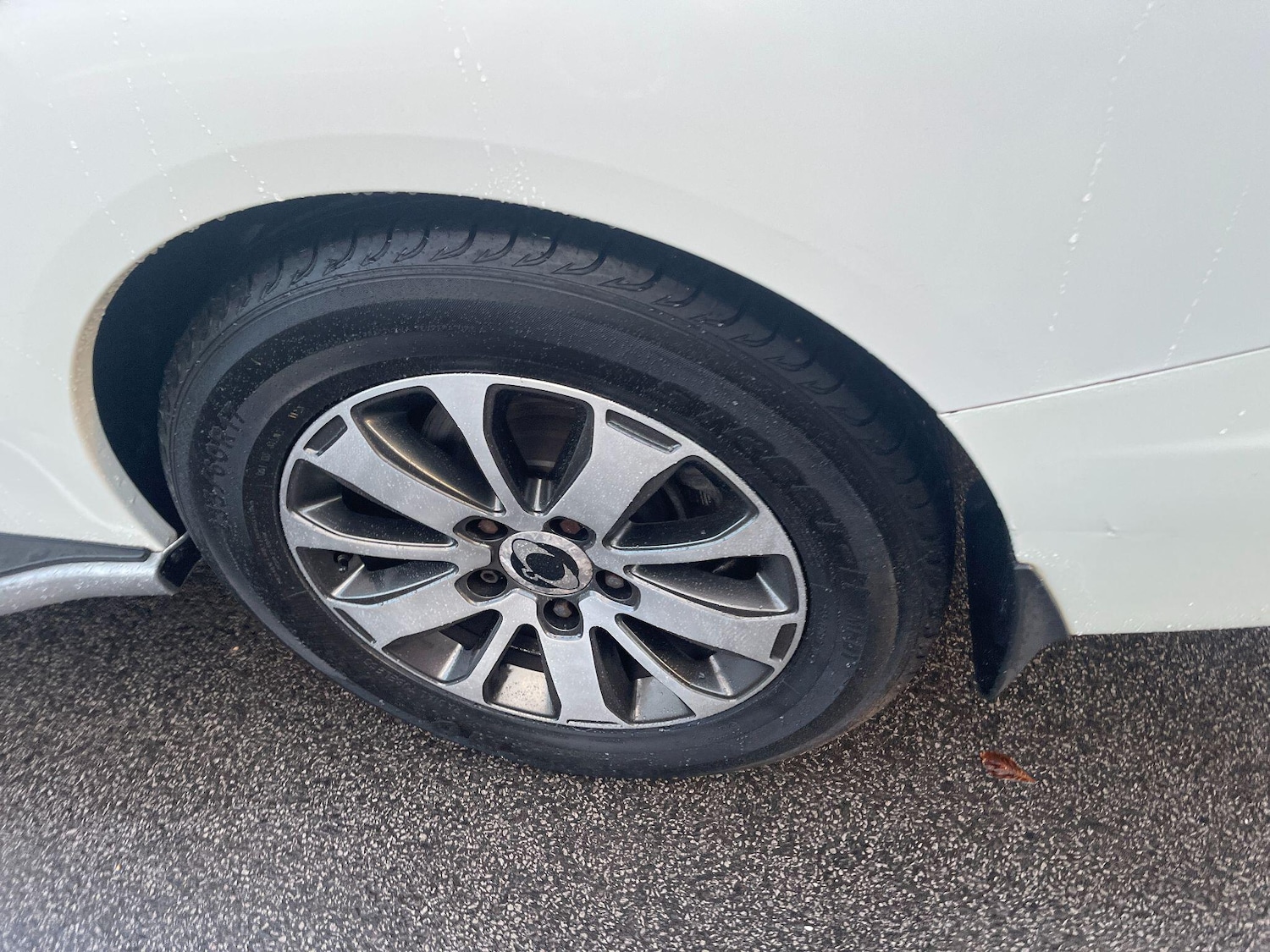 Used Ssangyong Turismo 2016 for sale - 76371746: Photo 52