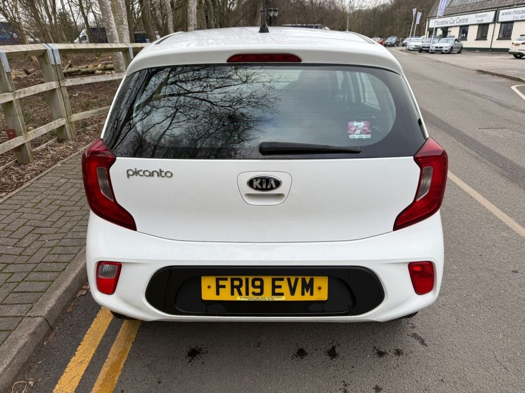 Used Kia Picanto 2019 for sale - 77072633: Photo 5