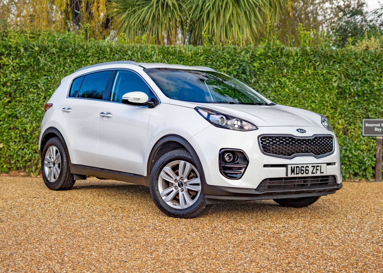 Used Kia Sportage 2017 for sale - 76829729: Photo 1