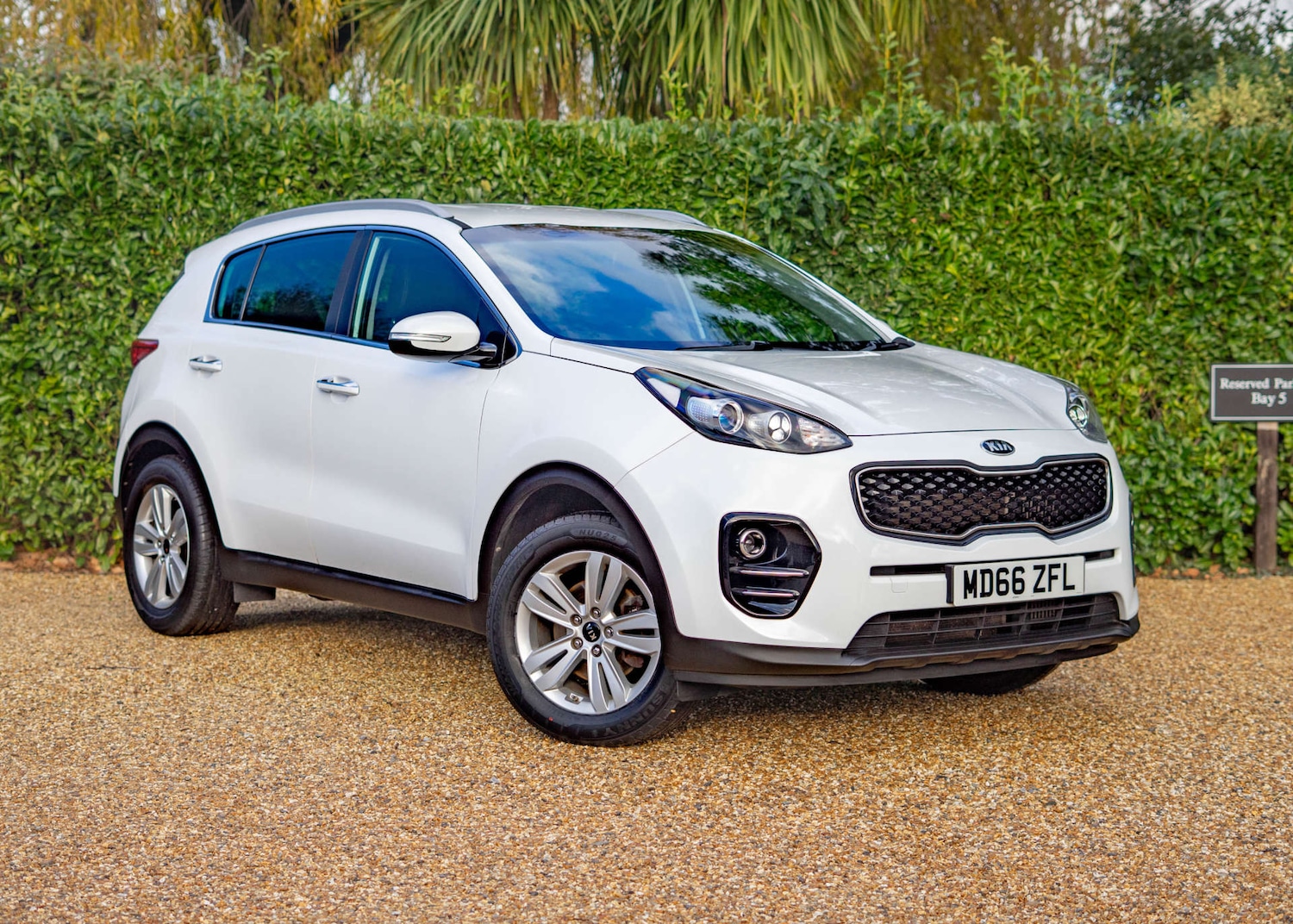 Used Kia Sportage 2017 for sale - 76829729: Photo 10