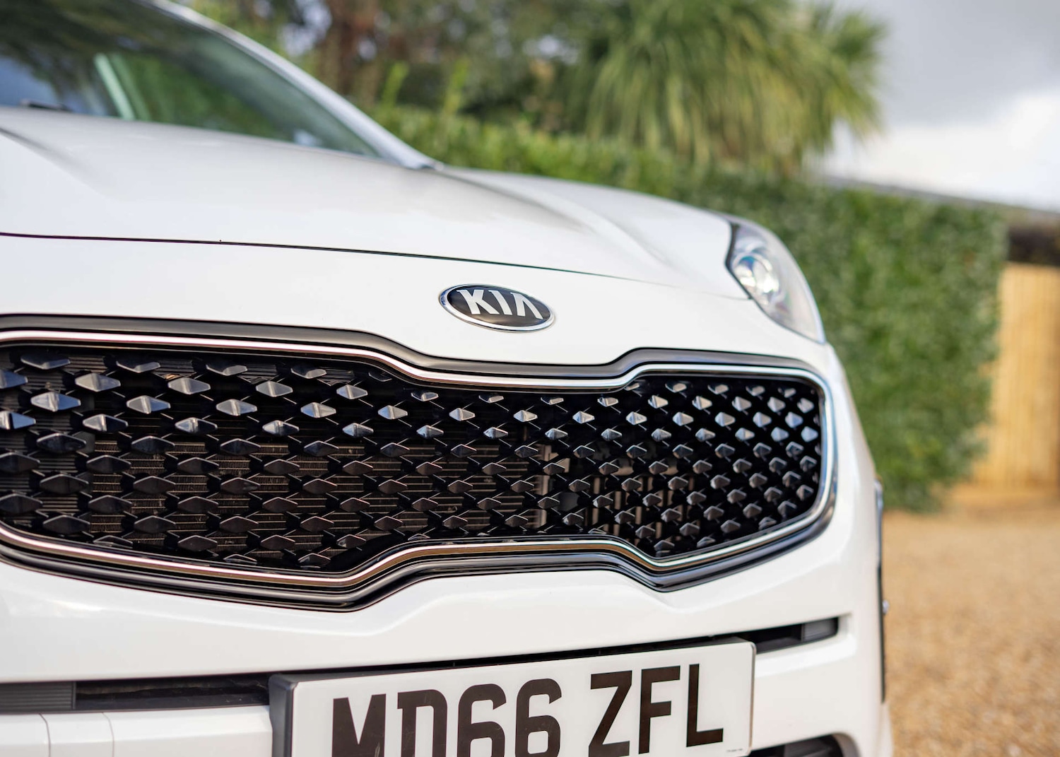 Used Kia Sportage 2017 for sale - 76829729: Photo 42