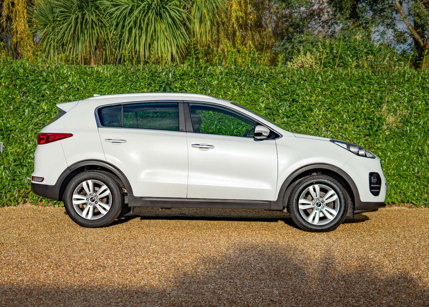 Used Kia Sportage 2017 for sale - 76829729: Photo 8