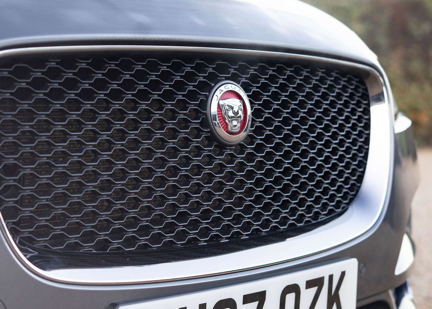 Used Jaguar F-Pace 2017 for sale - 76606057: Photo 51