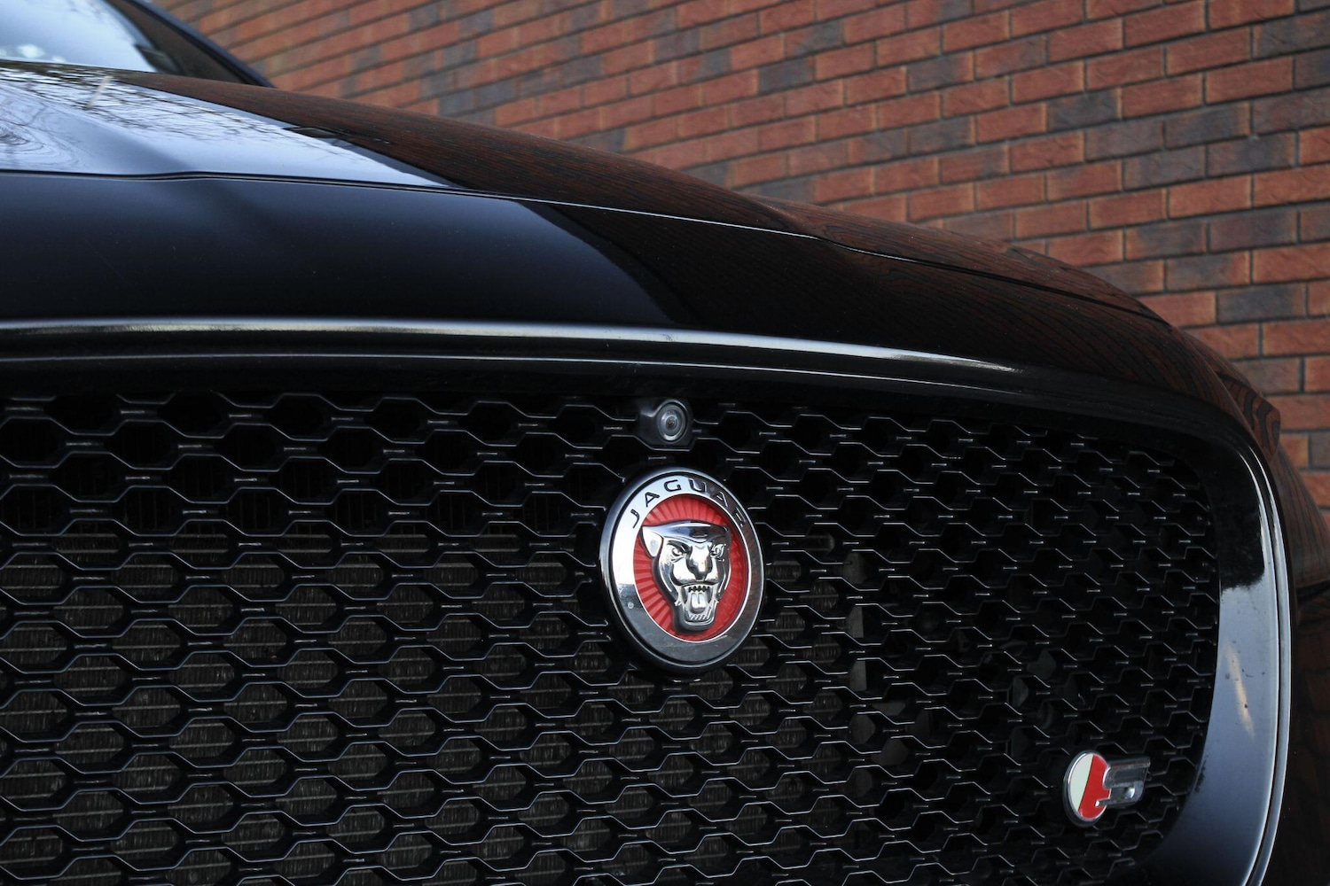 Used Jaguar F-Pace 2017 for sale - 76645534: Photo 13