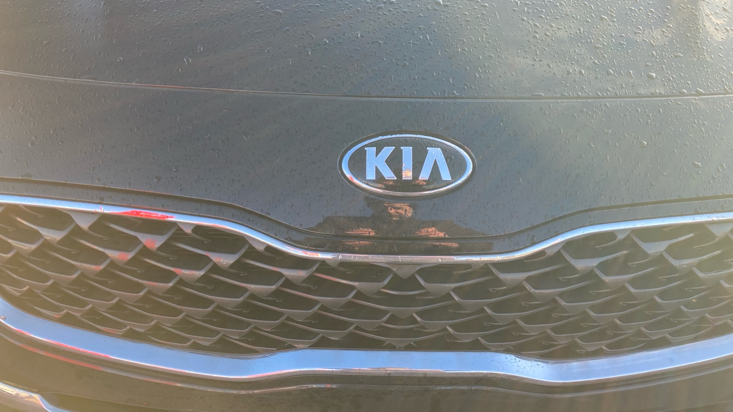 Used Kia Sportage 2021 for sale - 76707665: Photo 8