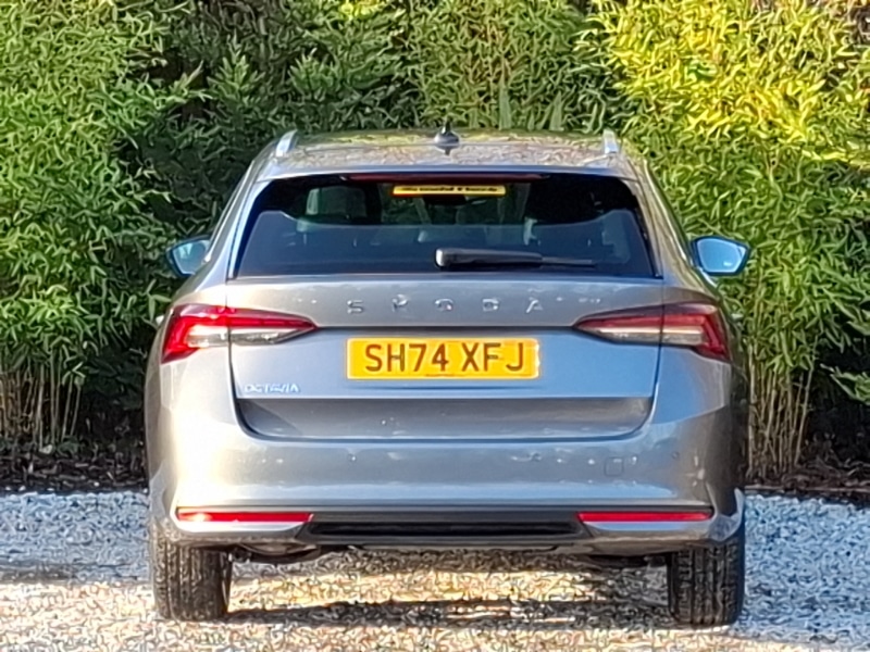 Used Skoda Octavia 2024 for sale - 77183937: Photo 14