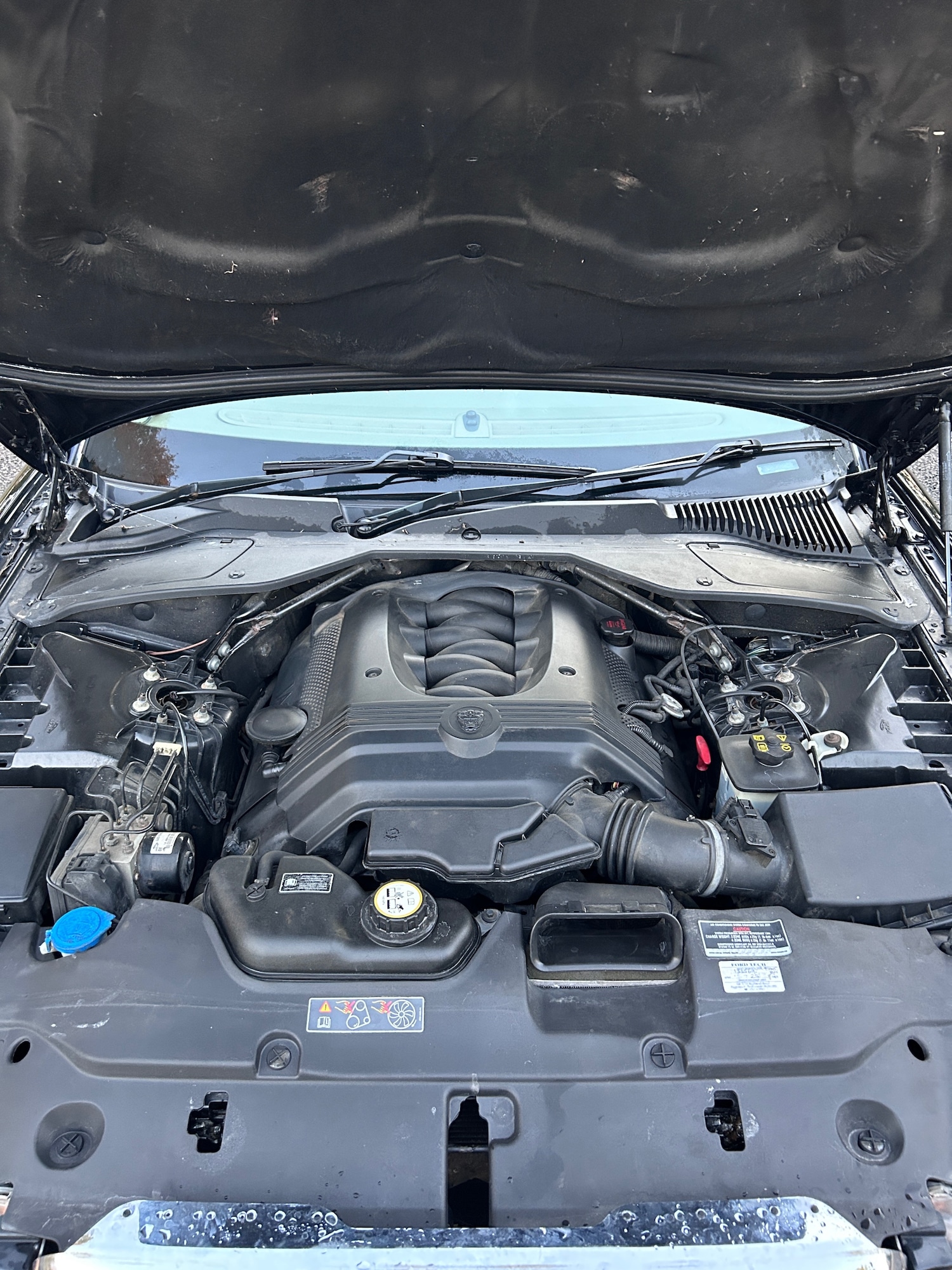 Used Jaguar XJ 2004 for sale - 76482701: Photo 17