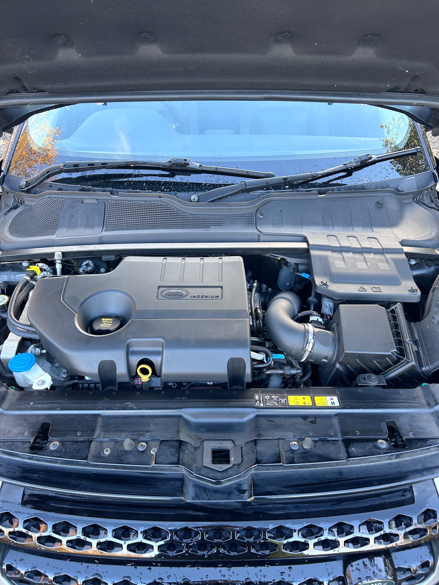 Used Land Rover Range Rover Evoque 2019 for sale - 76479550: Photo 16