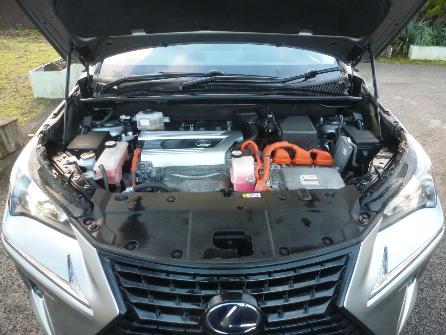 Used Lexus NX 2019 for sale - 77357201: Photo 14