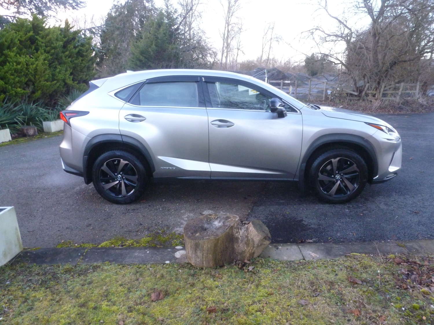 Used Lexus NX 2019 for sale - 77357201: Photo 2
