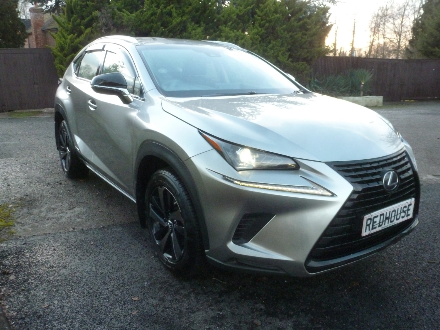Used Lexus NX 2019 for sale - 77357201: Photo 3