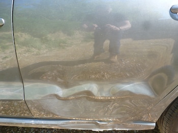 Used Volkswagen Polo 2013 for sale - 78370739: Photo