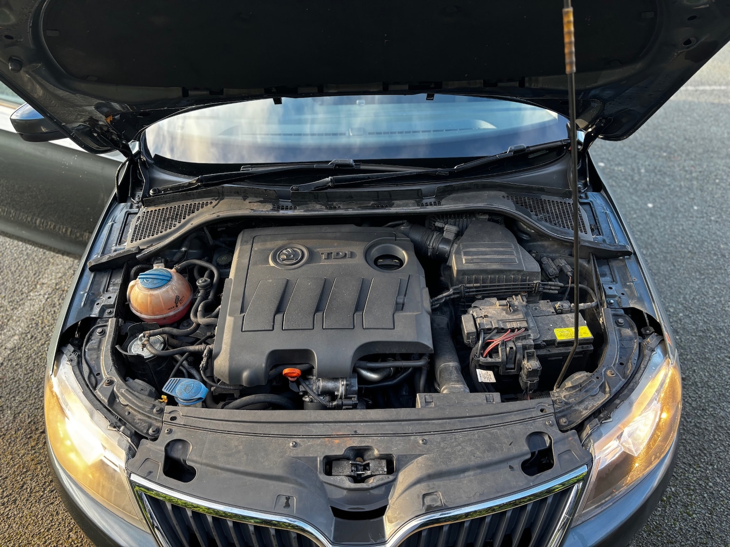 Used Skoda Rapid 2014 for sale - 76940155: Photo 42