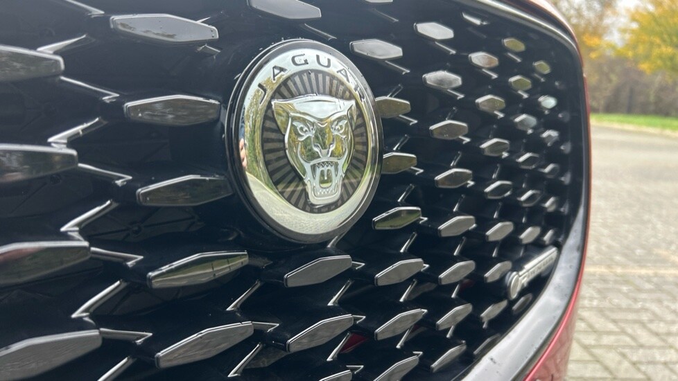 Used Jaguar F-Pace 2023 for sale - 76361833: Photo 38