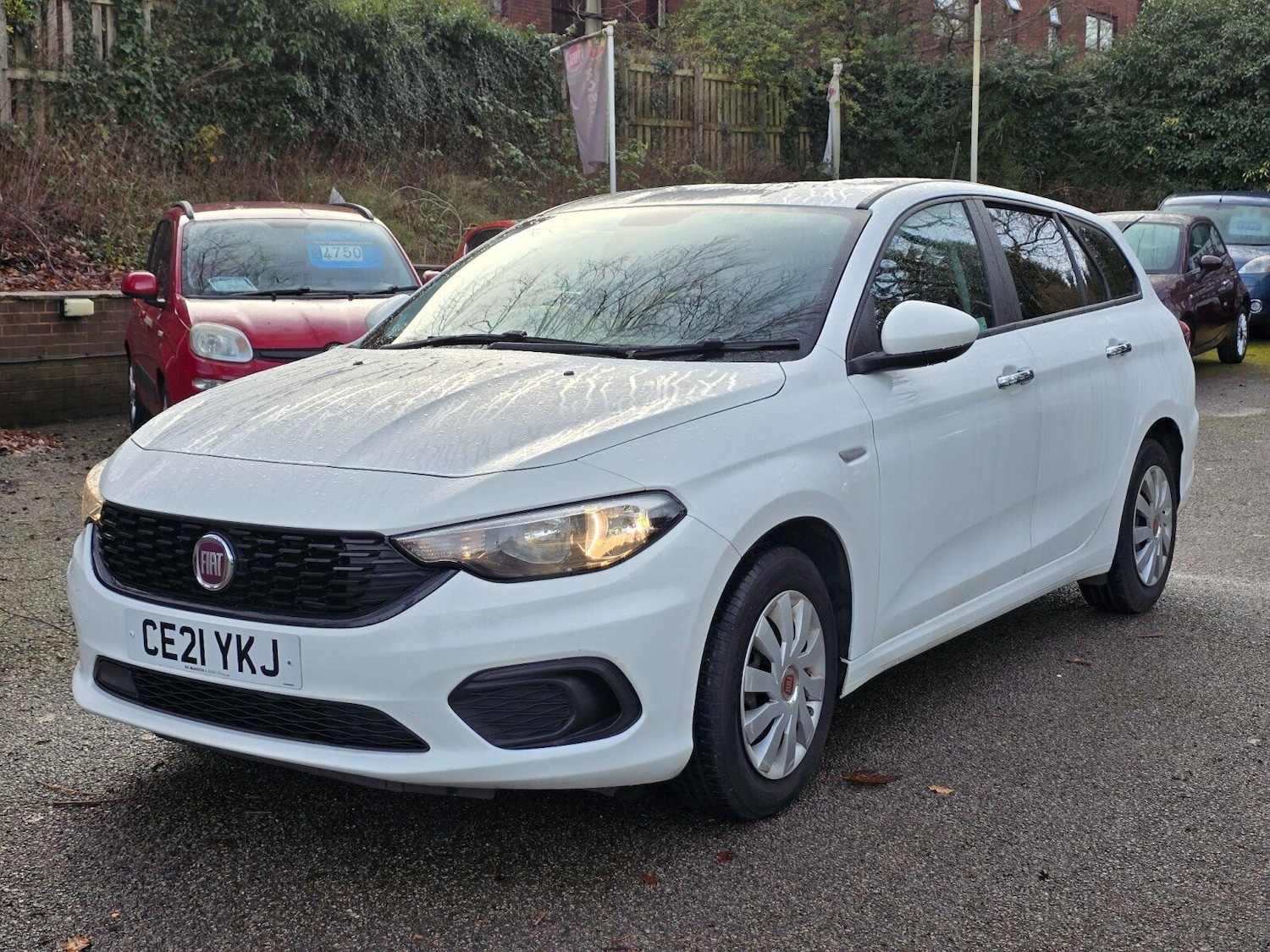 Used Fiat Tipo 2021 for sale - 77634659: Photo 3