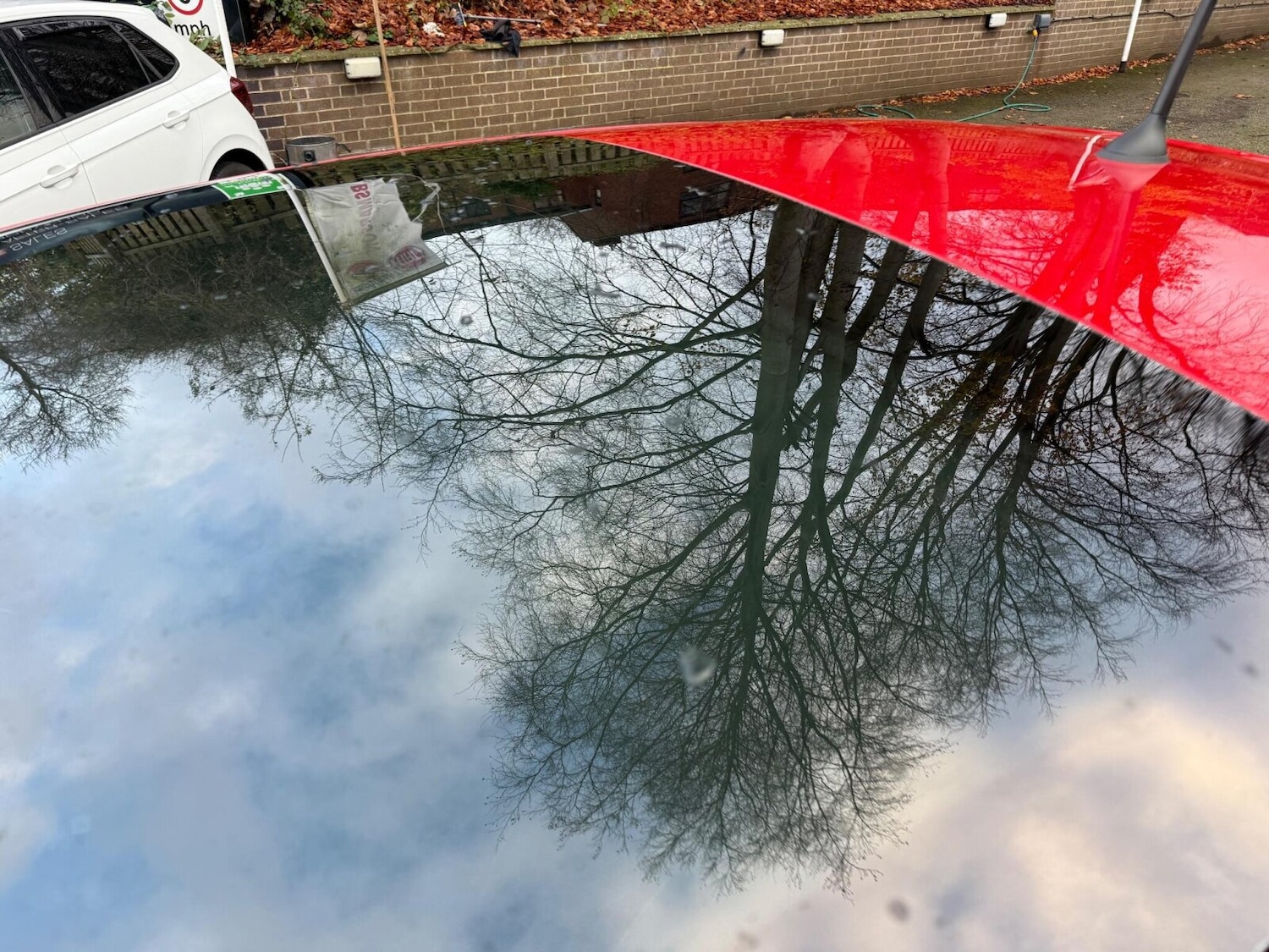 Used Fiat 500 2015 for sale - 76971505: Photo 42