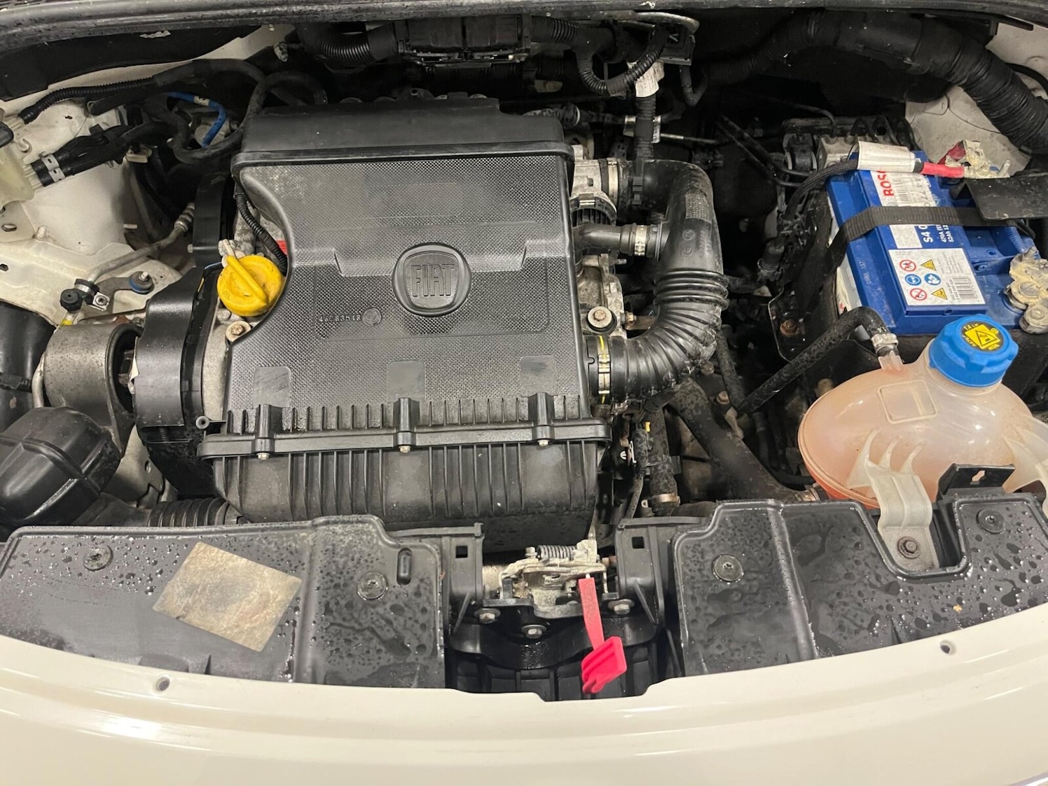 Used Fiat 500L 2013 for sale - 75894743: Photo 23