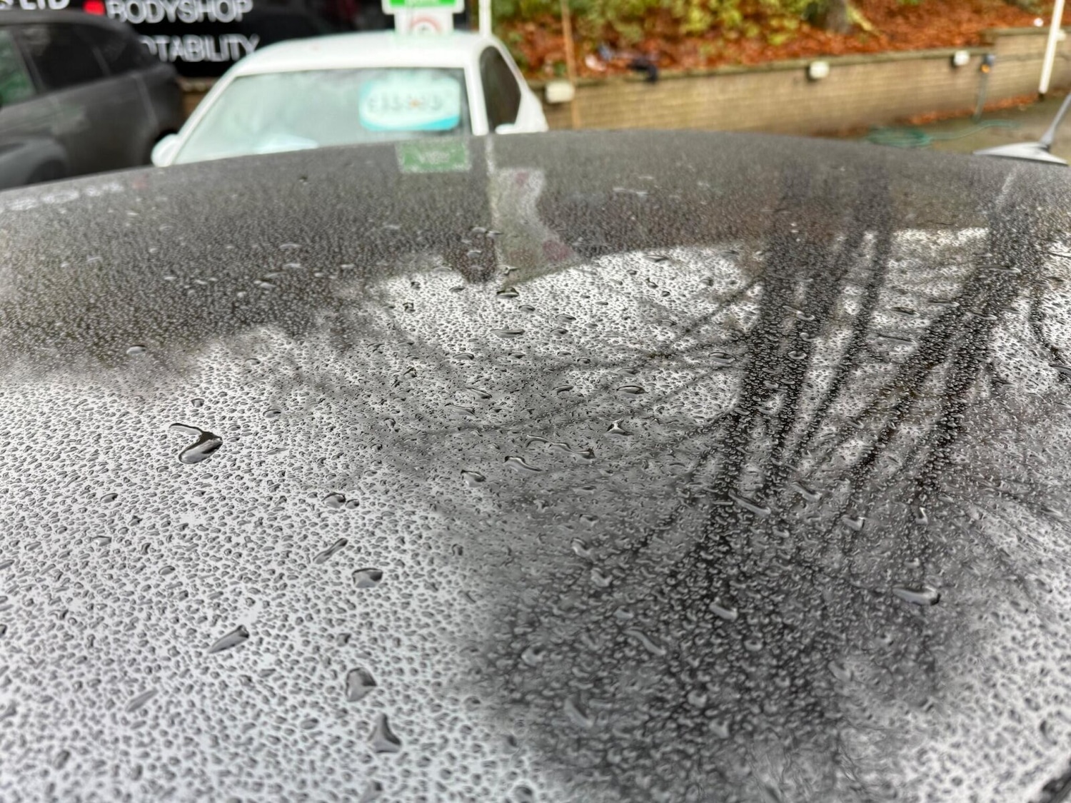 Used Citroen C4 2023 for sale - 76684399: Photo 44