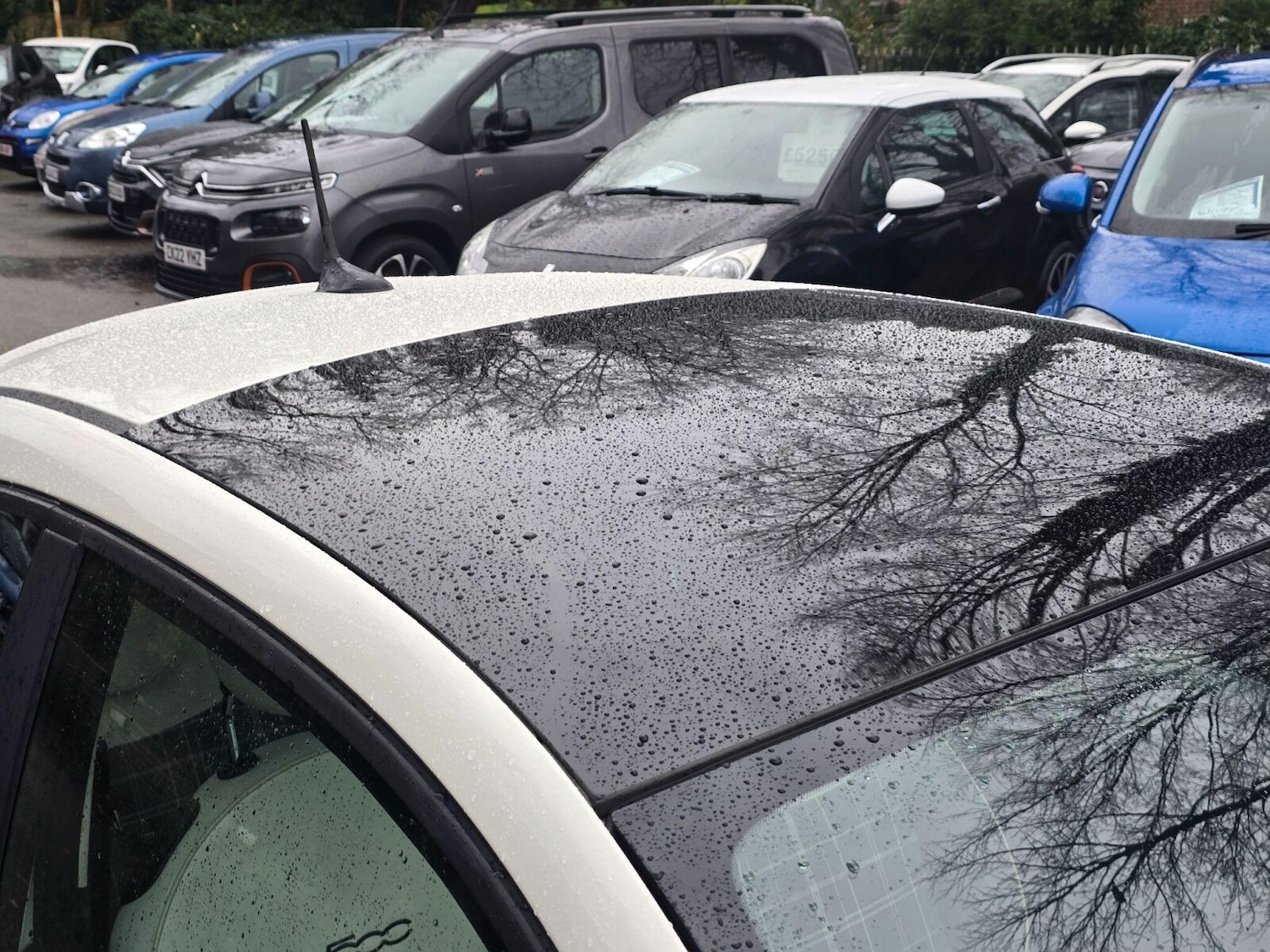 Used Fiat 500 2020 for sale - 76826571: Photo 36