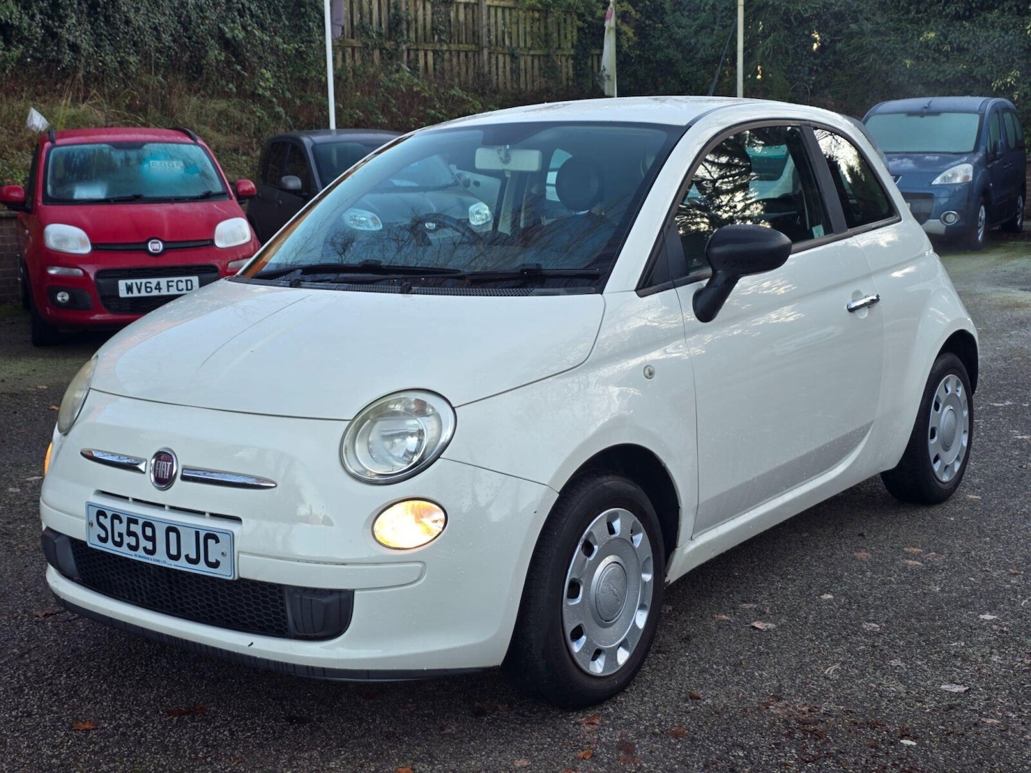 Used Fiat 500 2009 for sale - 77165506: Photo 3