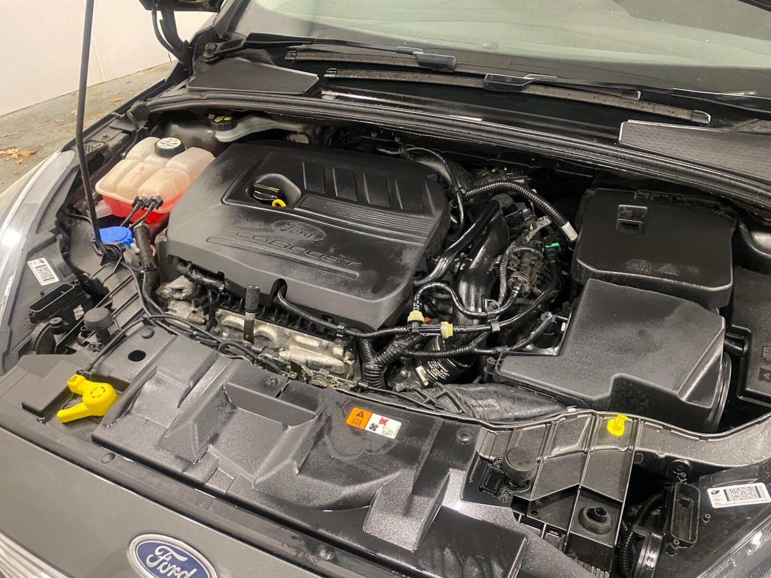 Used Ford Focus 2014 for sale - 77803815: Photo 36