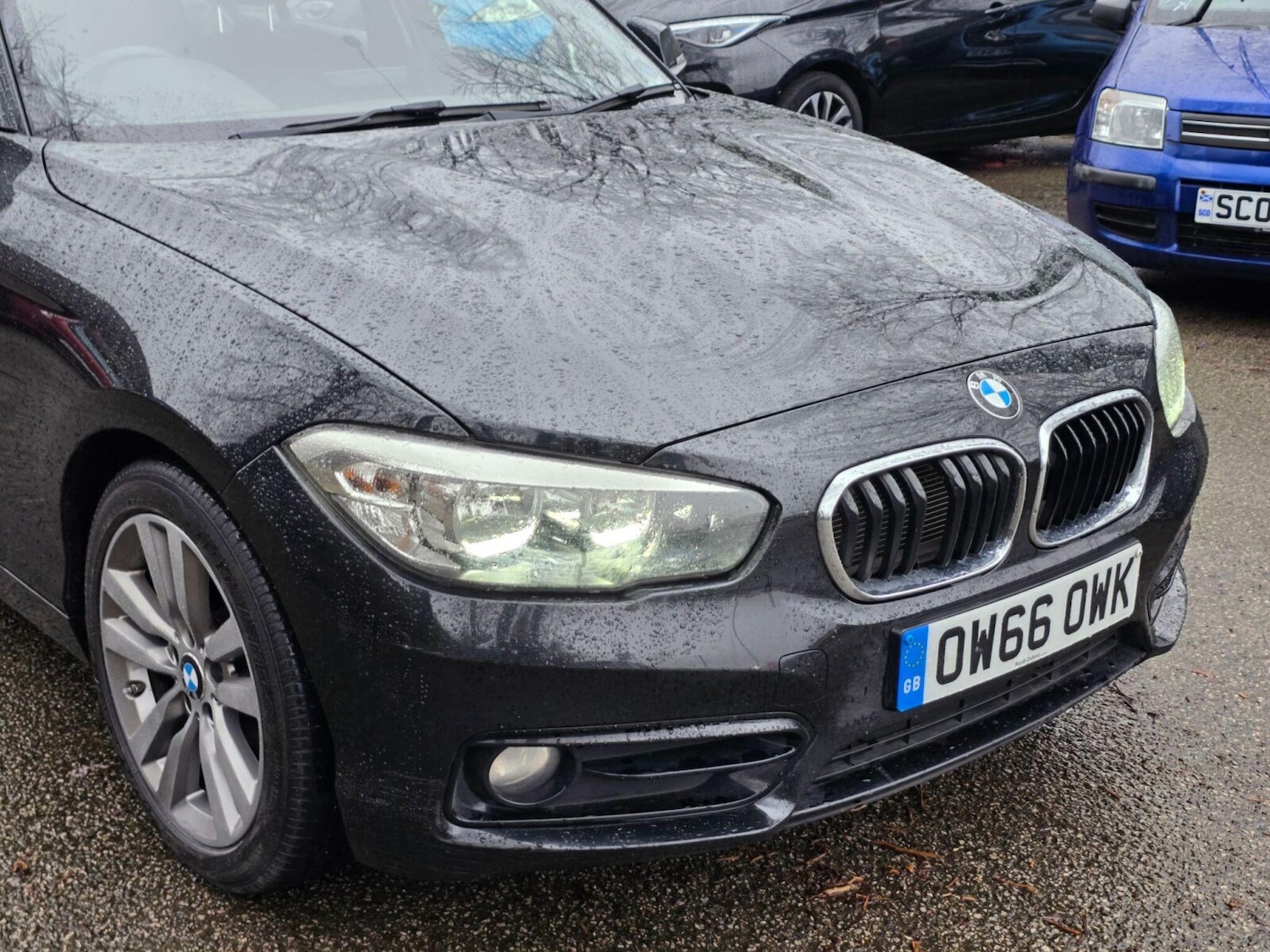 Used BMW 1 Series 2017 for sale - 77285666: Photo 5