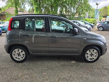 Used Fiat Panda 2016 for sale - 78968502: Photo