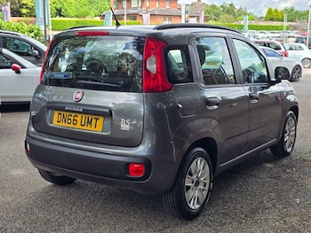 Used Fiat Panda 2016 for sale - 78968502: Photo