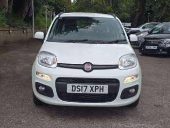 Used Fiat Panda 2017 for sale - 74761033: Photo