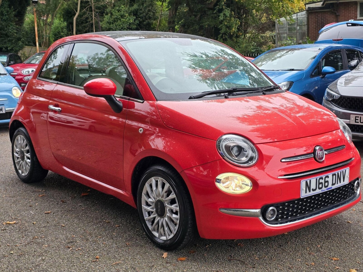 Used Fiat 500 2016 for sale - 76067124: Photo 1