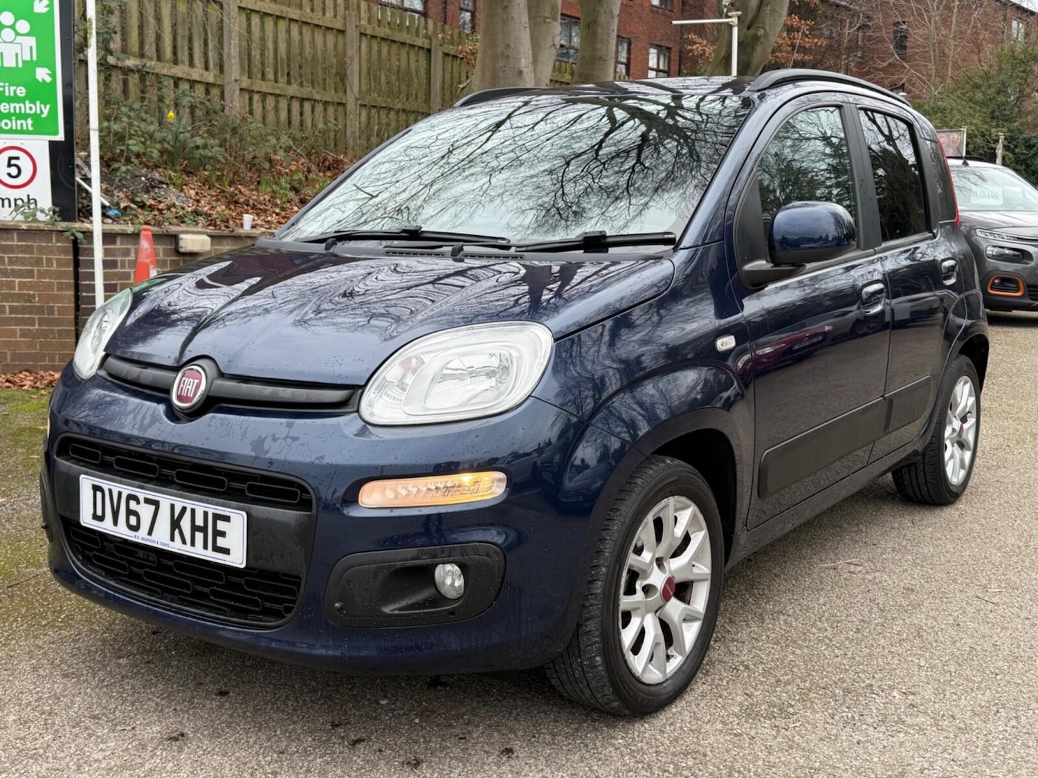 Used Fiat Panda 2017 for sale - 77826563: Photo 9