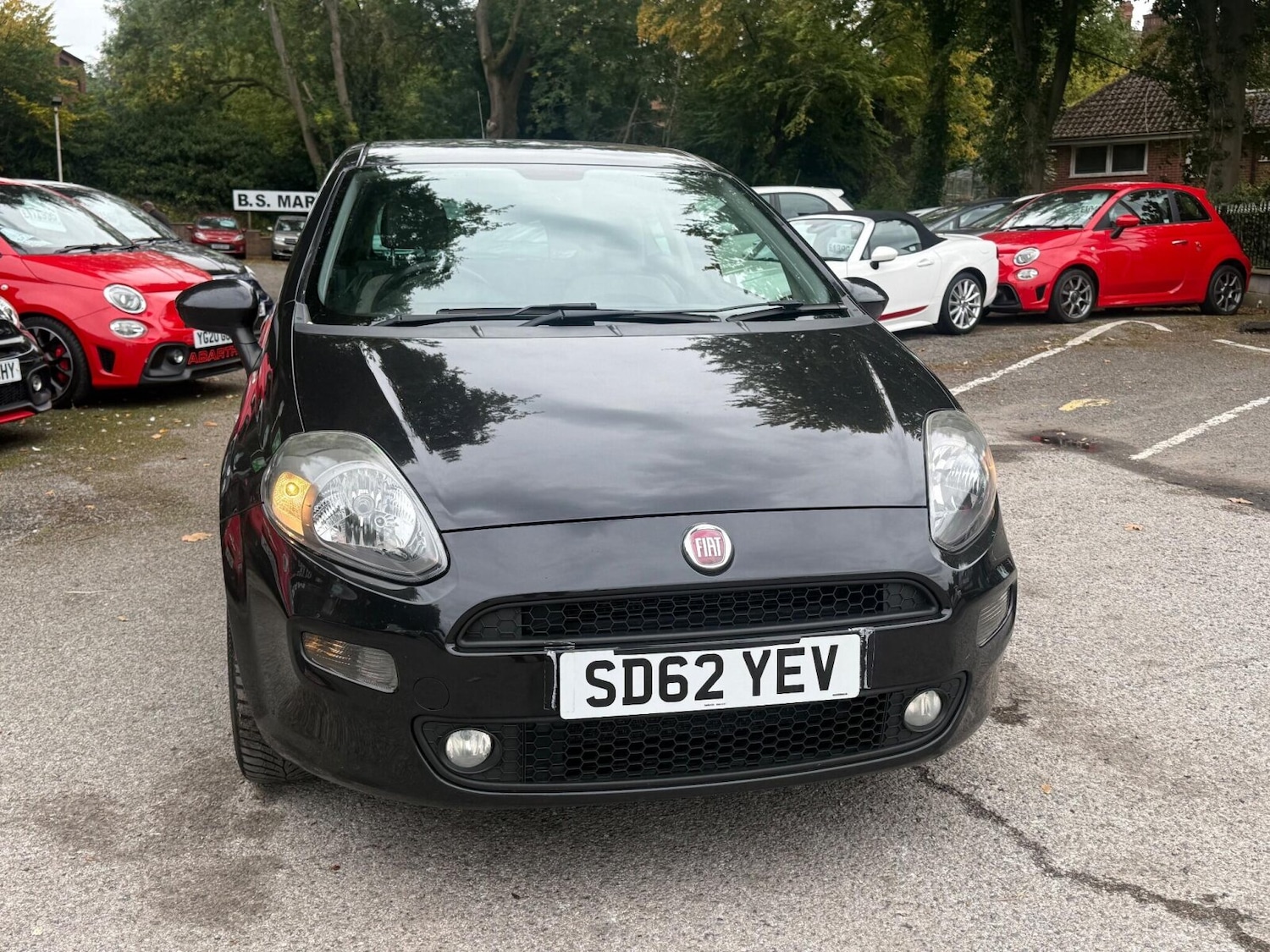 Used Fiat Punto 2012 for sale - 76092067: Photo 12
