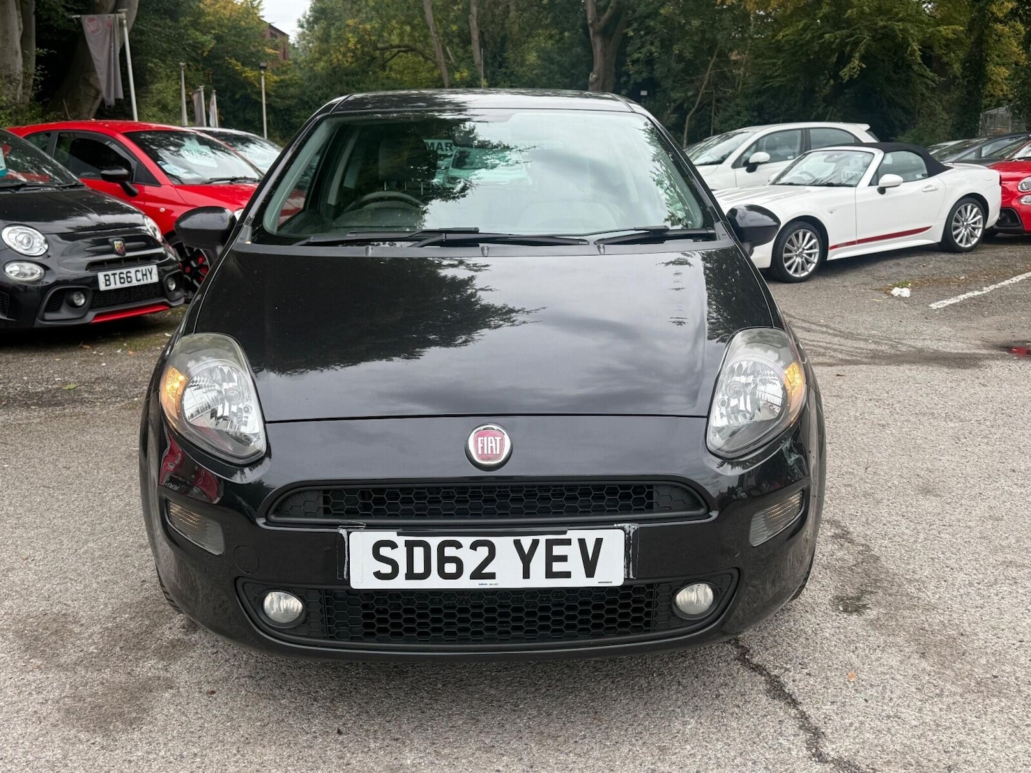 Used Fiat Punto 2012 for sale - 76092067: Photo 7