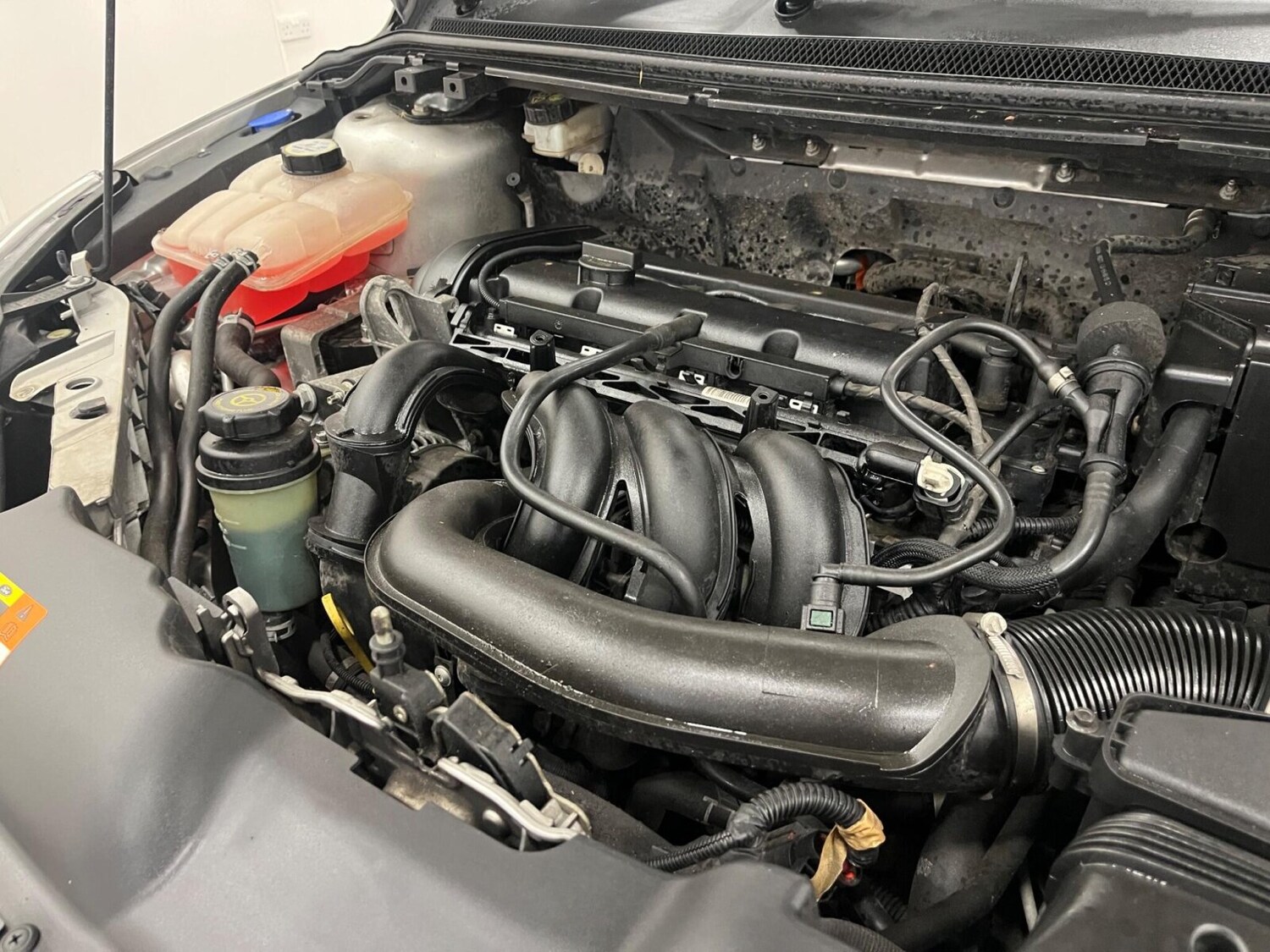 Used Ford Focus 2009 for sale - 76191026: Photo 76