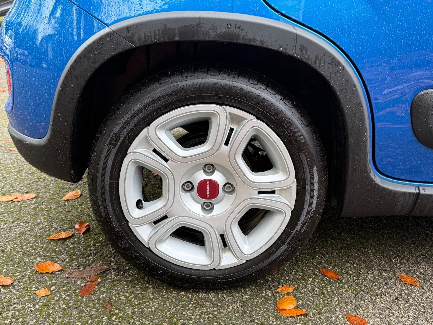 Used Fiat Panda 2024 for sale - 76563841: Photo 17