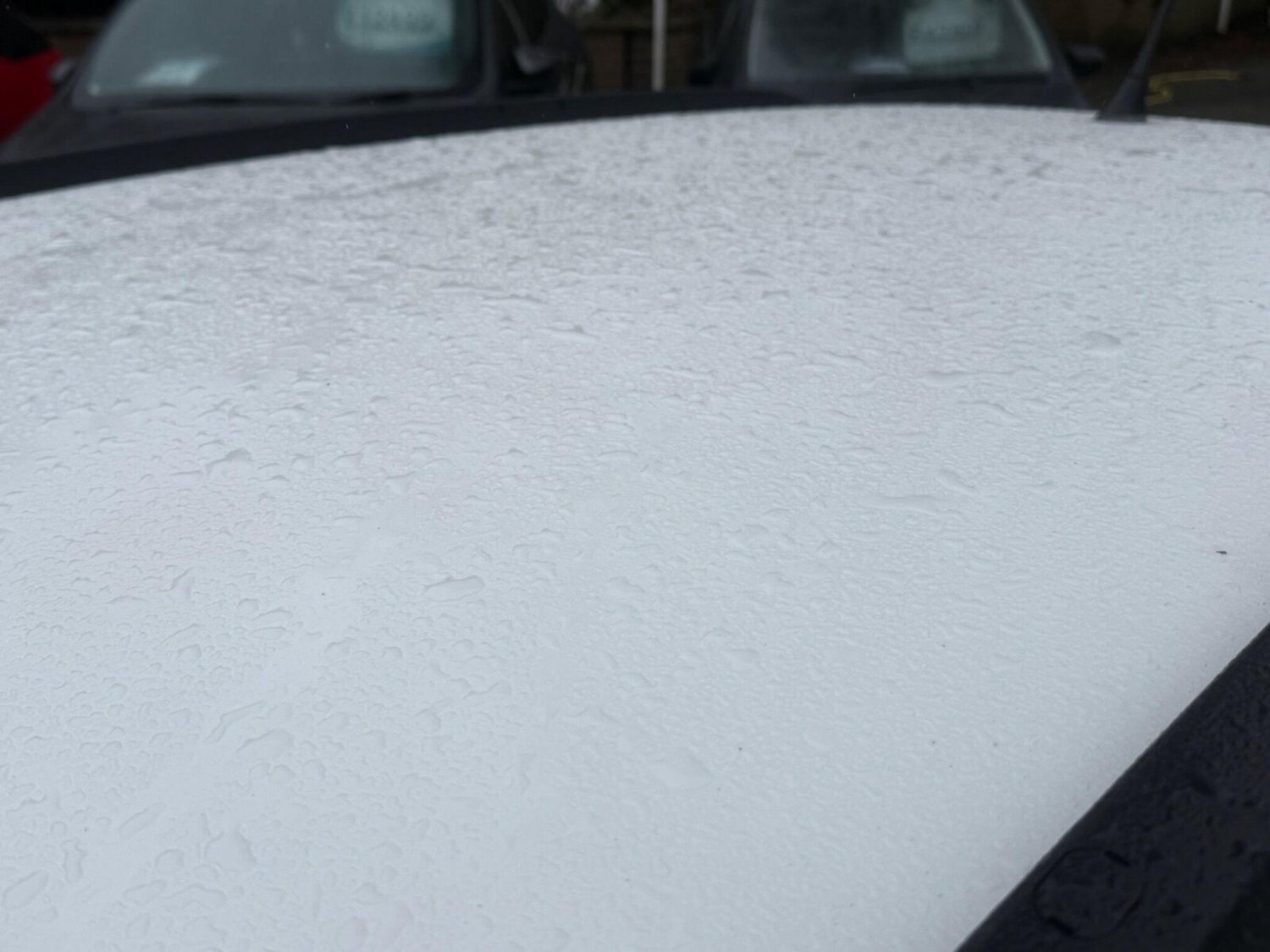 Used Fiat Panda 2013 for sale - 77563393: Photo 38