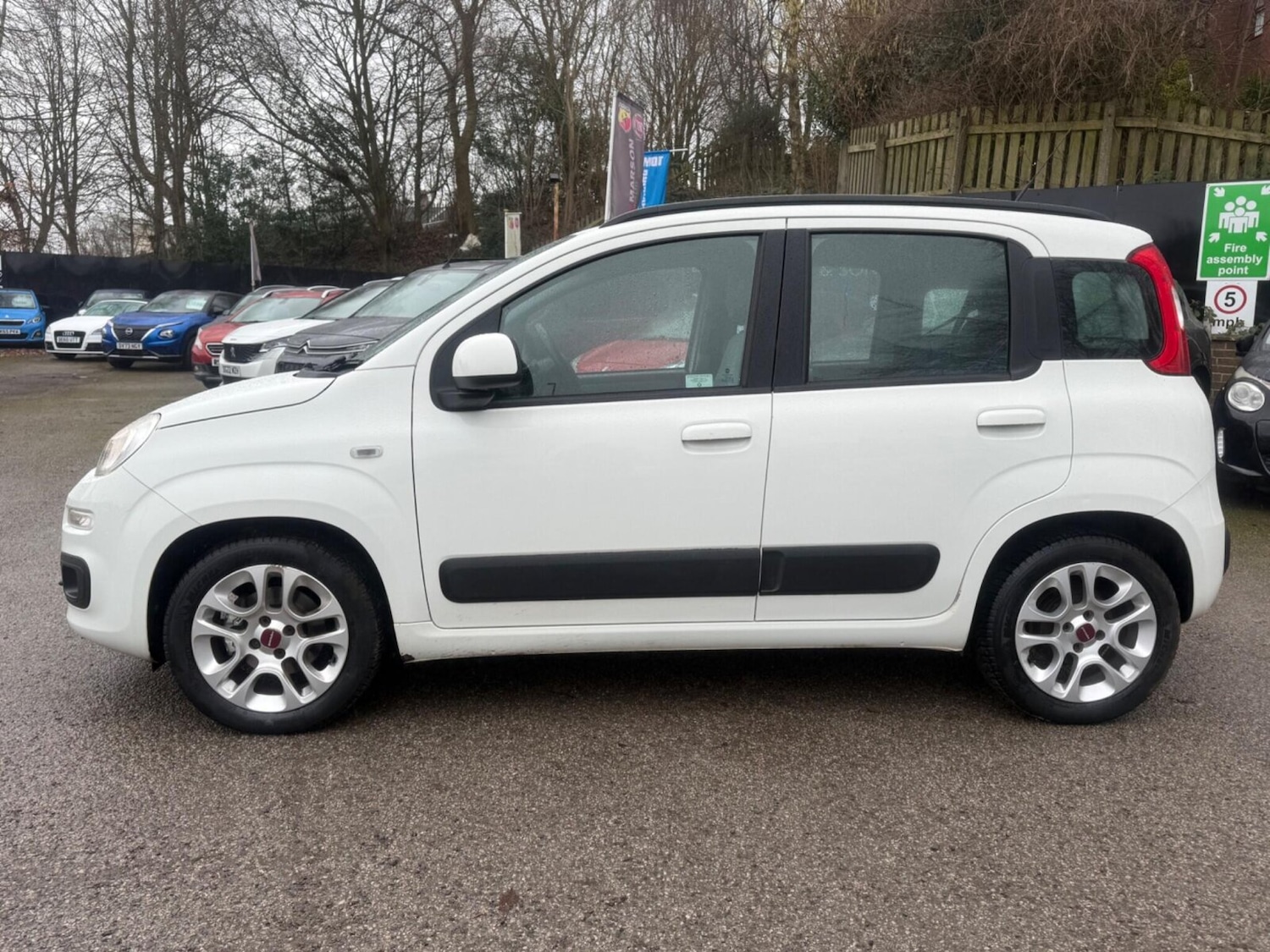 Used Fiat Panda 2013 for sale - 77563393: Photo 6