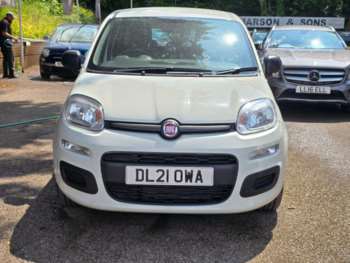 Used Fiat Panda 2021 for sale - 75164731: Photo