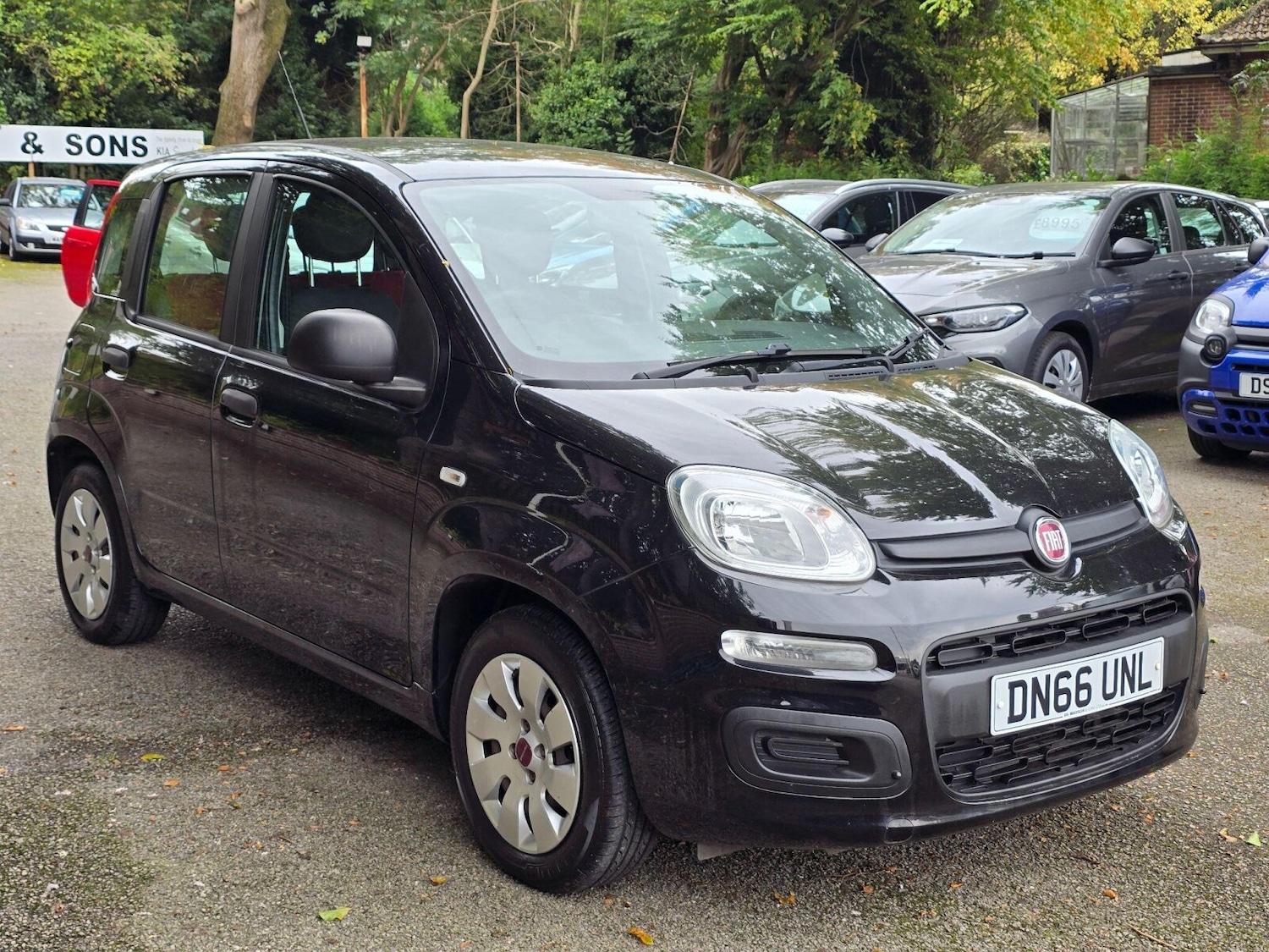 Used Fiat Panda 2016 for sale - 76092125: Photo 1