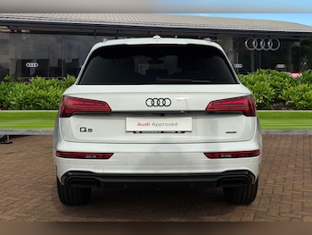 Used Audi Q5 2024 for sale - 75549816: Photo