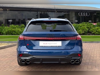 Used Audi A5 2026 for sale - 79241466: Photo