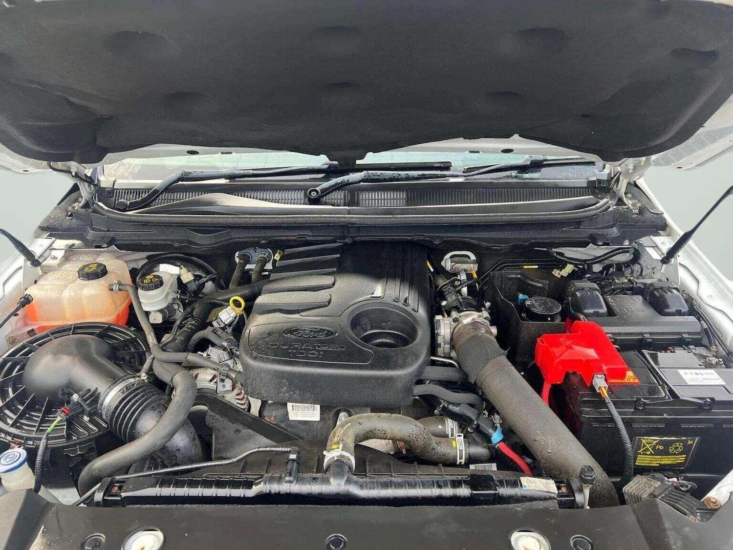 Used Ford Ranger 2017 for sale - 78070360: Photo 17