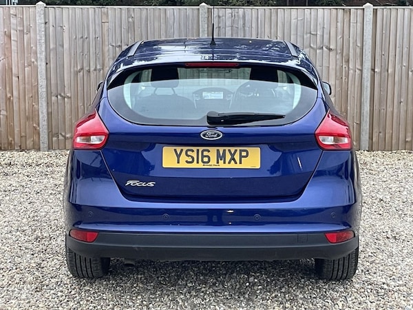Used Ford Focus 2016 for sale - 76266656: Photo 4