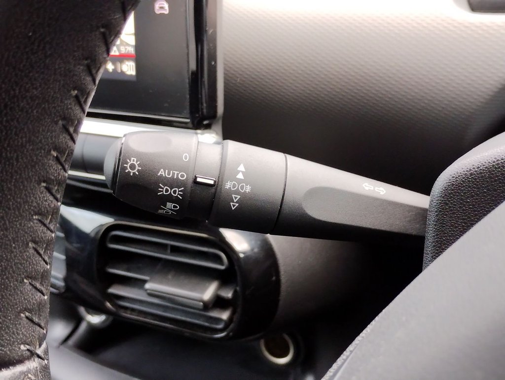 Used Citroen C4 Cactus 2020 for sale - 76481706: Photo 22