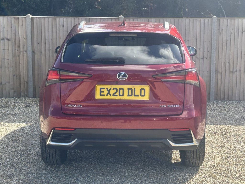 Used Lexus NX 2020 for sale - 76029646: Photo 4