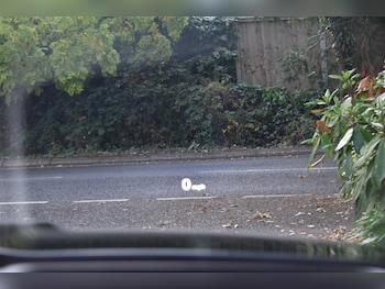 Used Jaguar XE 2021 for sale - 76625448: Photo