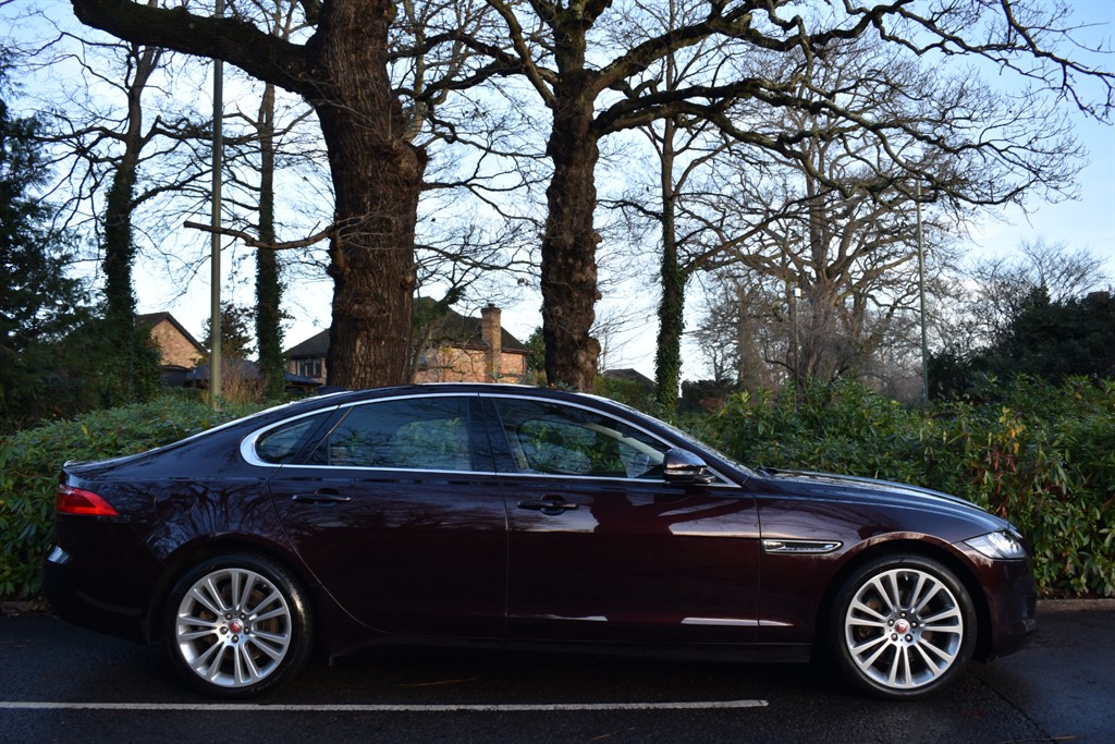 Used Jaguar XF 2018 for sale - 77005608: Photo 9