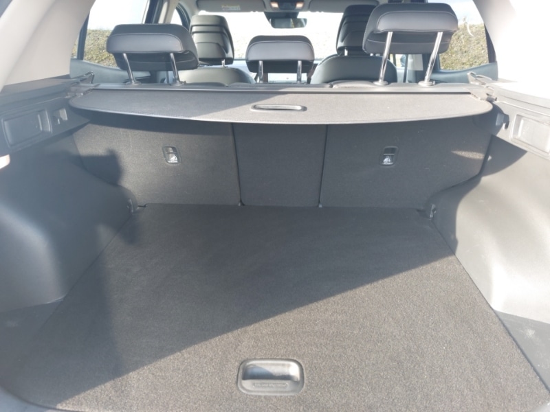 Used Kia Sportage 2023 for sale - 77992327: Photo 8