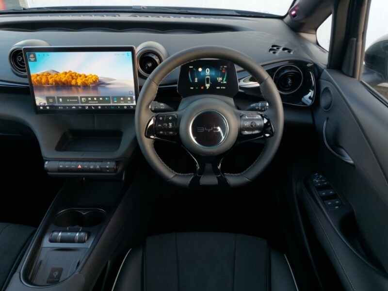 Used BYD Dolphin 2026 for sale - 77986946: Photo 11
