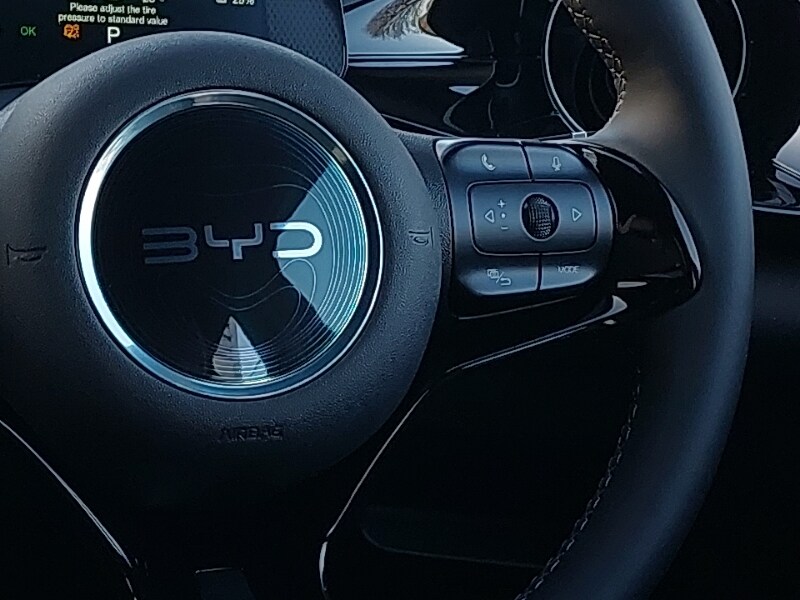 Used BYD Dolphin 2026 for sale - 77986946: Photo 12
